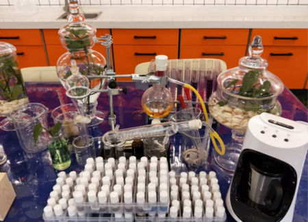 圣誕節(jié)，來NEWNEW智能光電美膚館給心愛的人驚喜吧