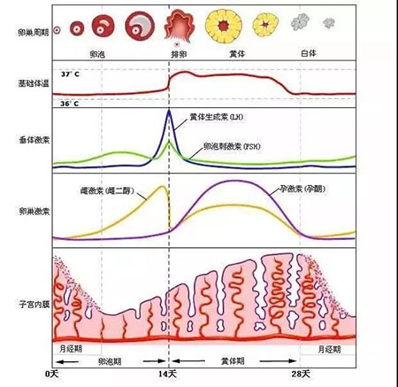 “閉口”這個磨人的小妖精又出來作妖啦！