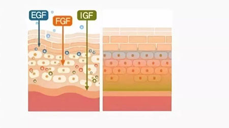 敏感肌不能化妝？良心推薦這款修復(fù)遮瑕霜！