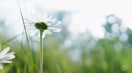 私享 | 2019春游指南，莫負(fù)好春光