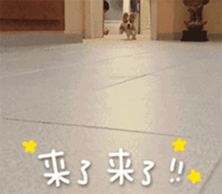 美妝課堂 | 春夏元氣口紅大推薦，選擇這幾支準(zhǔn)沒錯！