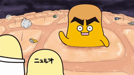 黑頭總是去不掉？這可能是 全 有效的去黑頭指南了！