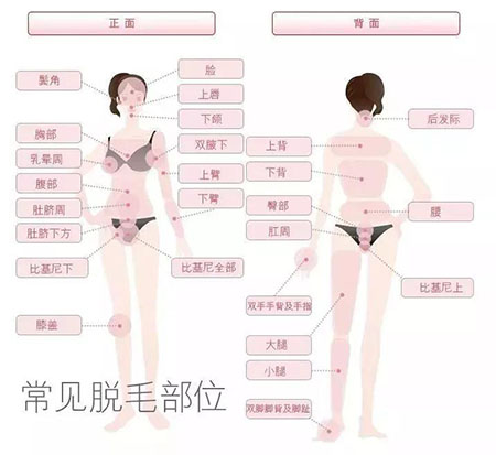 春季不脫毛，夏季獼猴桃！現(xiàn)在是脫毛的 佳時(shí)機(jī)~
