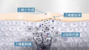 水漾保濕爽膚水，抓住發(fā)光“肌”密