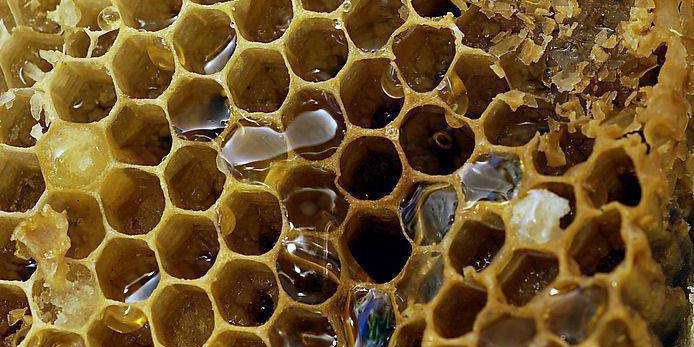 想讓精華效果翻多倍？做對(duì)這三點(diǎn)就OK！